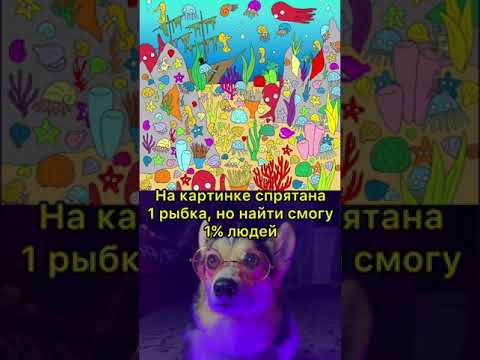 СМЕШНЫЕ ЖИВОТНЫЕ | сможешь найти 1 рыбку?