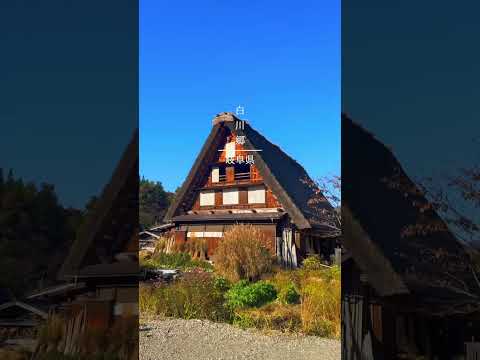 【岐阜・絶景】この秋に行きたい！岐阜県の紅葉スポット！※映像は去年のモノです現在はまだ青葉みたい！