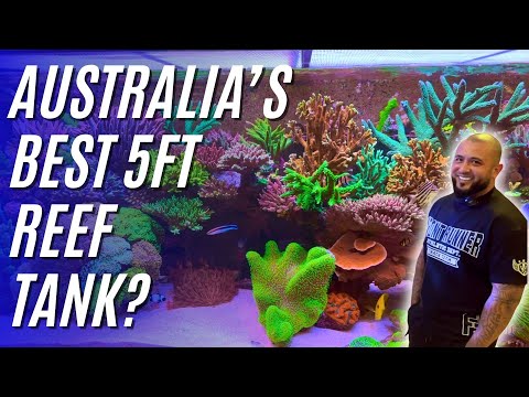 Jono's Jaw Dropping 5ft Cade - Australia's Best 5ft Reef???