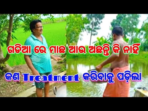 ଗଡିଆରେ ମାଛ ଆଉ ଅଛନ୍ତି କି ନାହିଁ?କ'ଣ Treatment କଲି@basanta_sir_kitchengarden#youtube#fishing