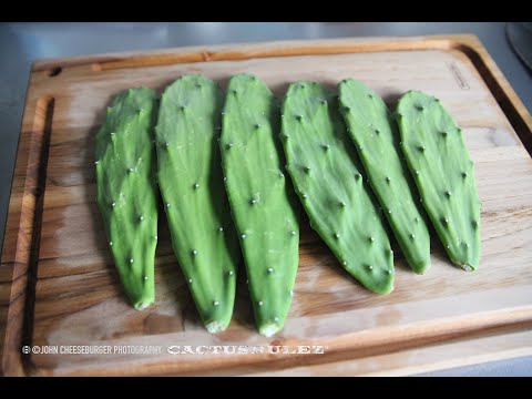 RUI’s Cactus Dishes