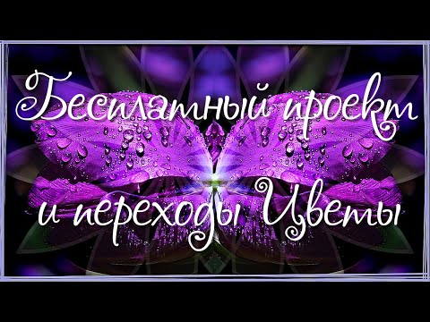 Цветы Бесплатный проект и переходы для Proshow Producer