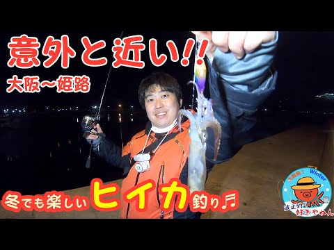 【姫路】大阪から1時間半!! 冬でも爆釣ライトエギング"ヒイカ"釣り♬【妻鹿漁港】