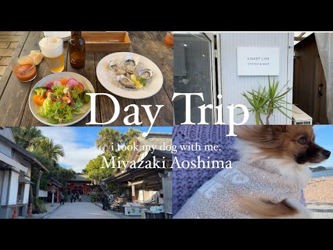 【宮崎青島Vlog】仕事の疲れを癒しに家族愛犬と日帰り宮崎旅🐶牡蠣//パワースポット//青島神社//宮崎