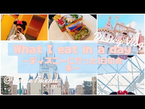 【食事記録】ディズニーに行った1日の食事/摂食障害克服中JK