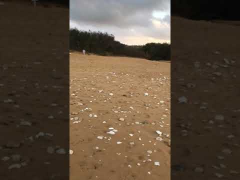 Ramla Bay Gøzö, Malta