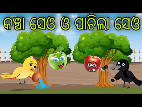 କଞ୍ଚା ସେଓ ଓ ପାଚିଲା ସେଓ | Kancha Seu  Pachila seu | Tiki Chadhei Gapa | Odia Chadhei Gapa | New Story