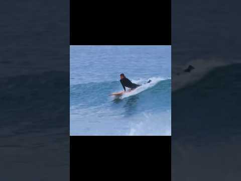 Kookapinto Shapes | Winter Mid-Lengths #surfing #nobodysurf