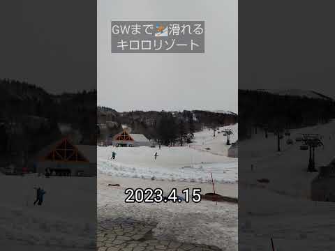 GWまで⛷️滑れるキロロリゾート 2023.4.15  #shorts