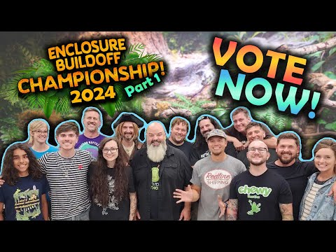 The Reptile Enclosure Build-off CHAMPIONSHIP!! (Part 1)