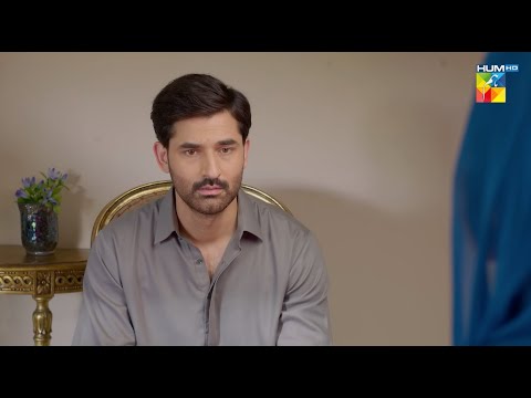 Behan Se Ziadati Ka Badla Zarur Loon Ga..! #mirzazainbaig #minsamalik - Mohabbat Reza Reza - HUM TV