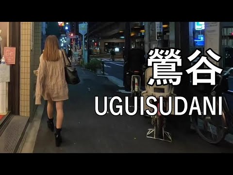 【4K】夜の街として人気のある鶯谷を夜に散歩 Walking in UGUISUDANI of Tokyo, popular as a night town