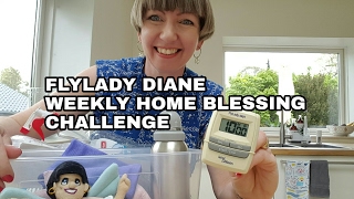 Flylady Diane - Challenge Time! Weekly Home Blessing!