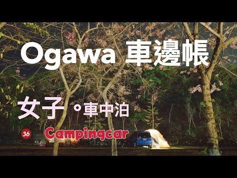 [36] Unpacking ogawa car side tent 2022 new campingcar｜Thailand cherry blossoms｜Women's ソロキャンプ