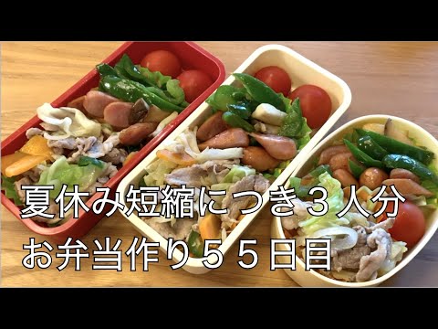 55日目♫夏休み短縮でお弁当3人分♫野菜いため２種弁当（栄養バランスgood）