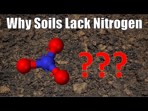 Why Soils Lack Nitrogen