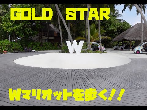 【モルディブ旅】WマリオットをGOLD STARが歩きます！