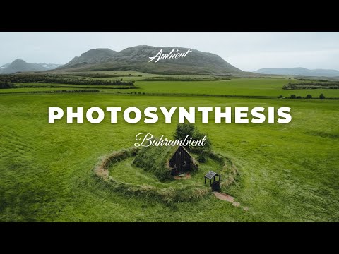 Bahrambient - Photosynthesis [ambient drone relaxing]