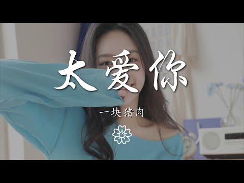 一塊豬肉 - 太愛你『我好想 和你一直走下去』【動態歌詞Lyrics】