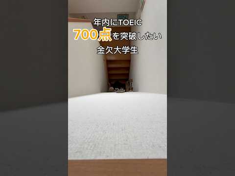 年内にTOEIC700点を突破したい金欠大学生　#英語 #toeic #海外 #英語勉強法 #留学