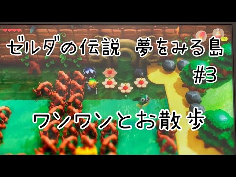 【ゲーム実況】ゼルダの伝説 夢をみる島#3【ワンワンとお散歩】