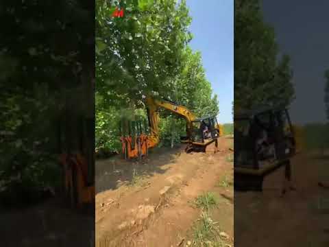 🌳Wheel Loader Tree Transplanting Machine | No Injury To Roots #treemover