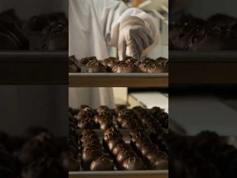 Scientists invent a new, healthier chocolate 🍫 #shorts #chocolate #cacao