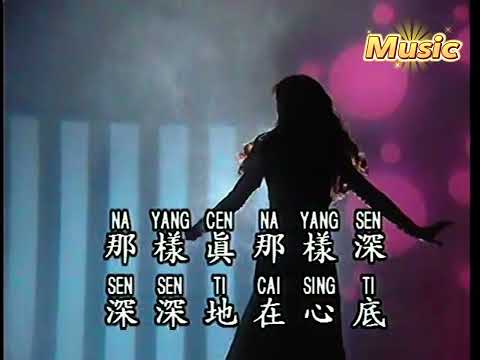 天知道我愛你 KTV 伴奏 no vocal 無人聲 music 純音樂 karaoke 卡拉OK 伴唱 天知道我爱你