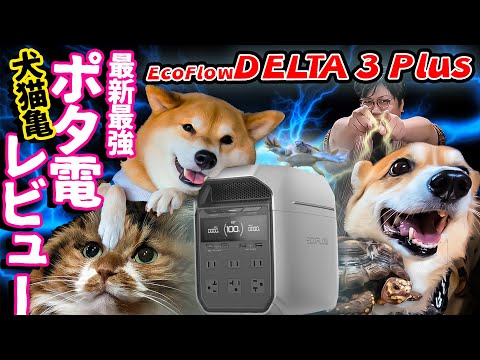 アテレコ全開レビュー！憧れのEcoFlow DELTA 3 Plusがやってきた！DJｽｯﾎﾟﾇｽ