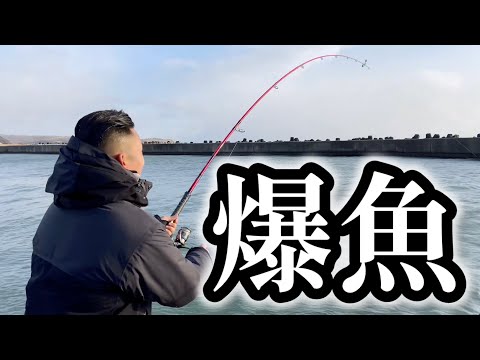 【北海道】【釣り】騒然‼️ちょい投げで重量級が釣れる漁港