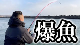 【北海道】【釣り】騒然‼️ちょい投げで重量級が釣れる漁港