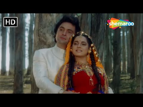 Mili Tere Pyar Ki Chhaanv Re | Rishi Kapoor | Neelam Kothari | Kasak(1992) | Kumar Sanu, Anuradha P