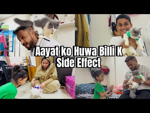 Misba Mumma Huwe Pareshan😱| Aayat Owais Ko Huwa Billi K Side Effect 🐱|