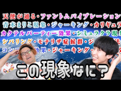 【謎すぎ】現象名だけで効果を当てろ！第一回理系版ウミガメのスープ！！！【ゆるゆる】