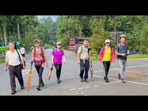 鳳凰山北嶺健行 North Ridge Hiking：歇腳亭→第一、二土地公佑安→第三涼亭→台寅山17℃→廣闊茶園朦朧美景→溪頭天文台→1090、857、第一賞鳥步道藍腹鷳特寫 2024年8月26日