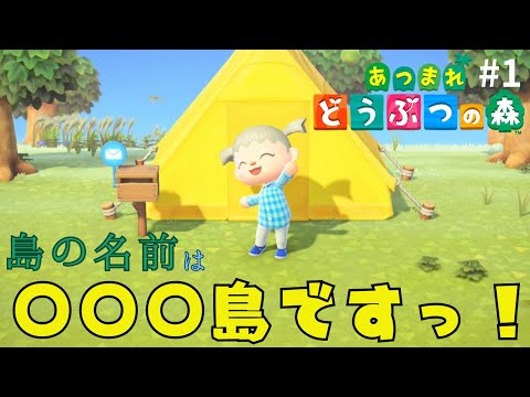 今更だけど【あつまれ どうぶつの森】やってみた。#1