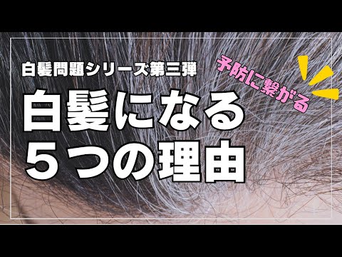 白髪問題シリーズ第三弾！白髪の予防に役立つ白髪が生まれる原因