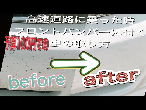 【予算100円】【車に付くムシの取り方】【洗車いらず】【高速道路乗った後】【夏の対処法】