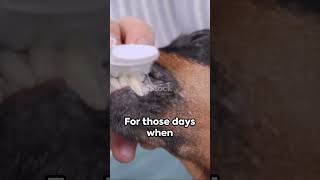 Dogs dental care #petgrooming #diypetcare #dogdentalhealth #dogsmile