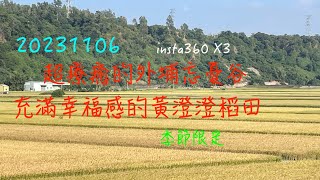 萬ㄟeye台灣20231106外埔忘憂谷   4K