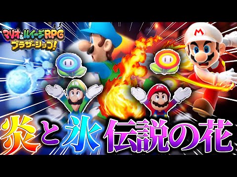 炎と氷も伝説の花を手に入れた‼…＃16【マリオ&ルイージRPG ブラザーシップ!】