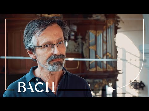 Smits on Bach Kyrie, Christe, Kyrie BWV 672-674 | Netherlands Bach Society