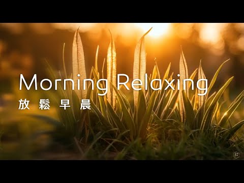 早晨音樂Morning Music｜充滿生機的早晨，小草在金色光芒中舞動，開啟了希望與活力的一天