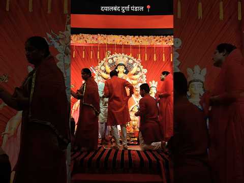 दयालबंद दुर्गा पंडाल | bilaspur durga pandal 2024 #bilaspurdurga #dqyalband #shorts #cg