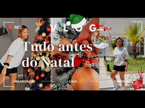 VLOGMAS, ENFEITES PARA A ÁRVORE E COMPRAS DE FINAL DE ANO | VLOG