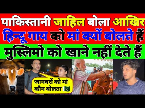 हिन्दू गाय को मां क्यों बोलते हैं पाकिस्तानियों को समझ नहीं आता है | रिपोर्टर ने बताया जाहिलों को