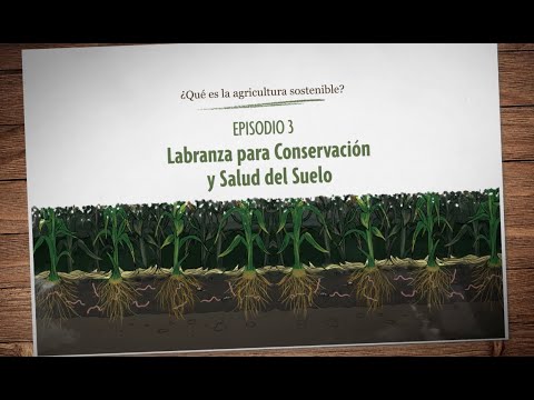 ¿Qué es la agricultura sostenible? Episodio 3: Labranza para Conservación y Salud del Suelo