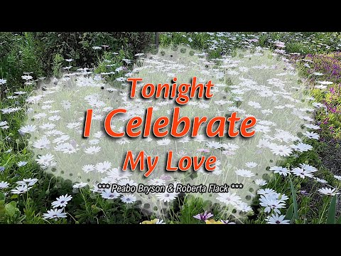 TONIGHT I CELEBRATE MY LOVE - (Karaoke Version) - in the style of Peabo Bryson & Roberta Flack