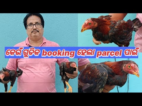 କେଉଁ ଗୁଡିକ booking ହେଲା Parcel ପାଇଁ👉 Contact-9348286134@basanta_sir_kitchengarden#youtube#chicken