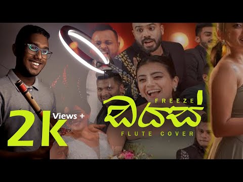 DIAS (ඩයස්) Flute Cover - Sukitha Sandeepa @sankhabmusic @freezeliveband